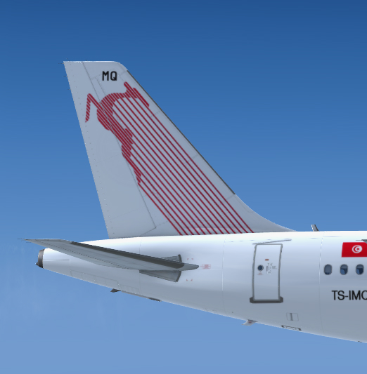 More information about "A319-112 CFM Tunisair"