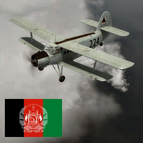 More information about "An-2 Afghan Air Force 224"