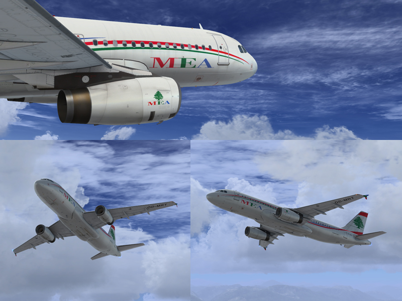 More information about "Airbus A320 MEA OD-MRT"
