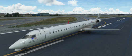 More information about "CRJ1000 SCANDINAVIAN AIRLINES - EC-MJC - HIGH QUALITY- MSFS"