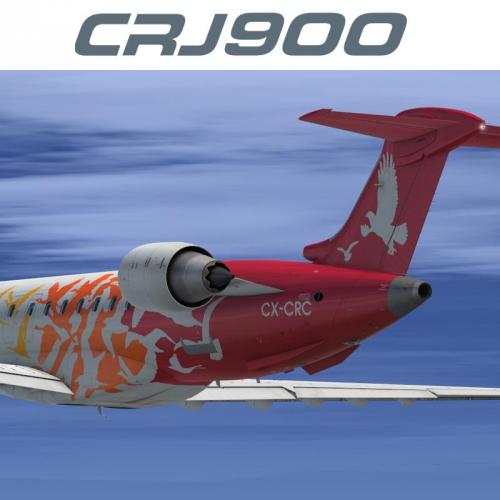 More information about "CRJ900ER PLUNA CX-CRC"