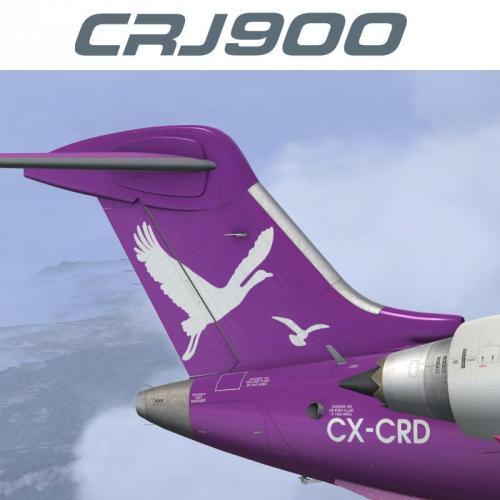 More information about "CRJ900ER PLUNA CX-CRD"