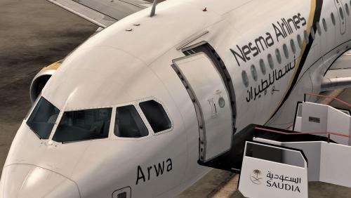 More information about "Nesma Airlines Airbus A319-132 IAE SU-NMD"