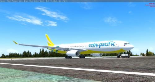 More information about "Cebu Pacific RP-C3342 New Colors"