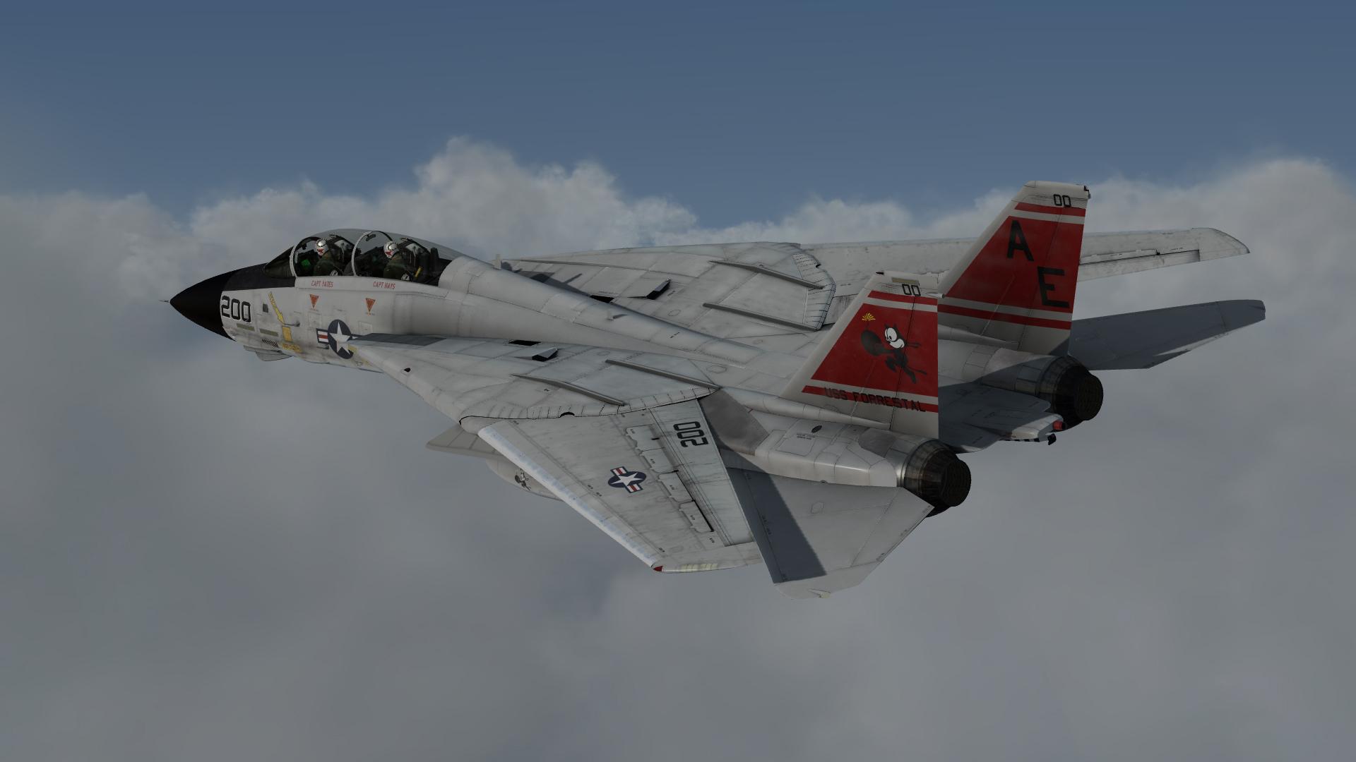 F 14 Tomcatters.