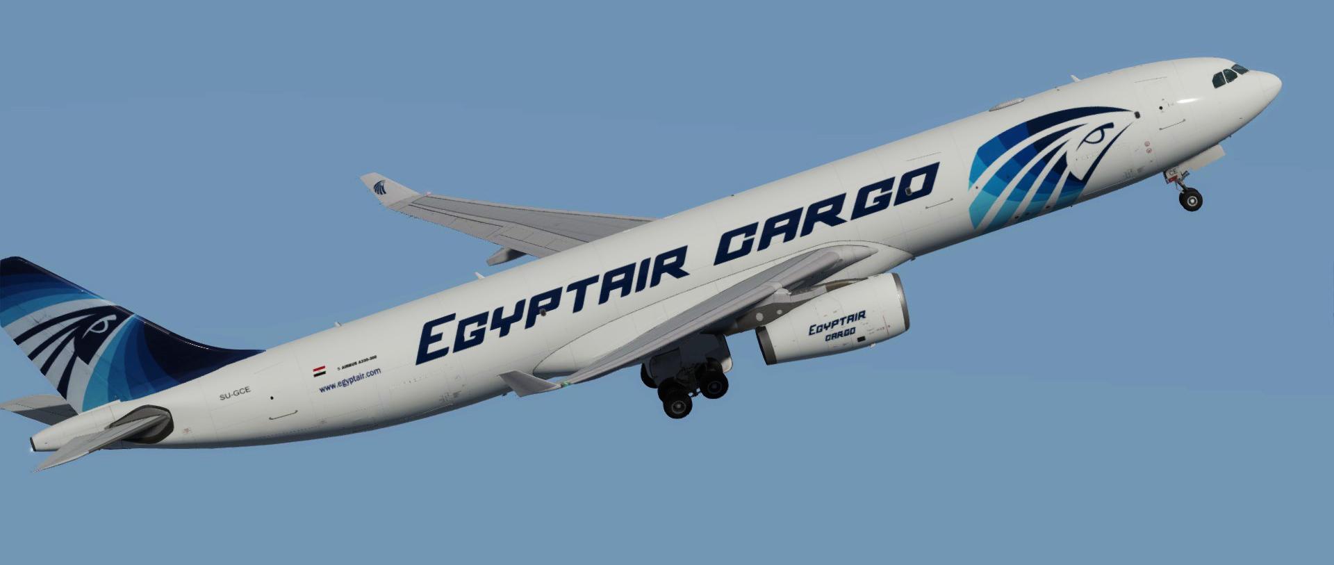 Vận chuyển hàng không chuyên tuyến đi Ai Cập 